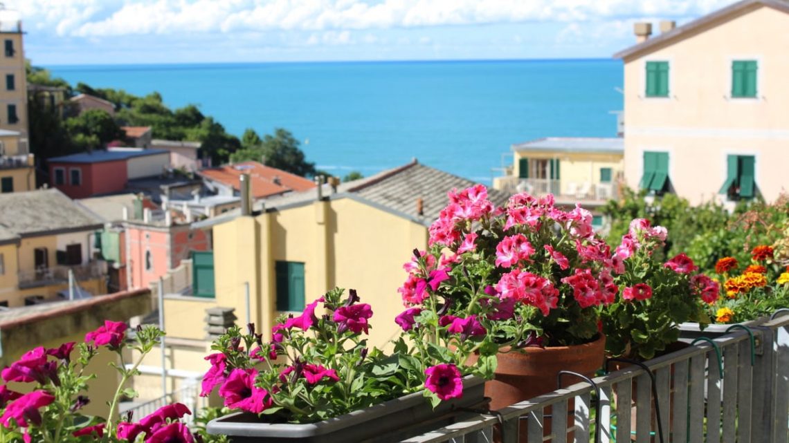 Colorful flowers on a balcony overlooking the sea in Riomaggiore, Italy.
