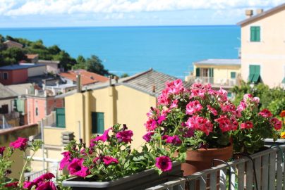Colorful flowers on a balcony overlooking the sea in Riomaggiore, Italy.